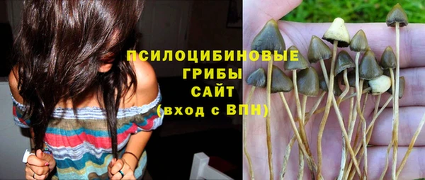 герыч Алзамай