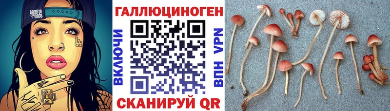 магазин продажи наркотиков  Артёмовский  Псилоцибиновые грибы ЛСД 